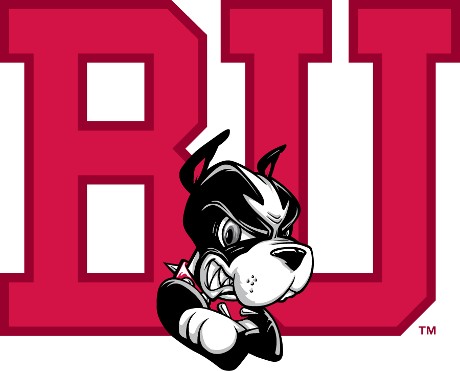 Boston University Terriers 2009-2015 Secondary Logo diy iron on heat transfer